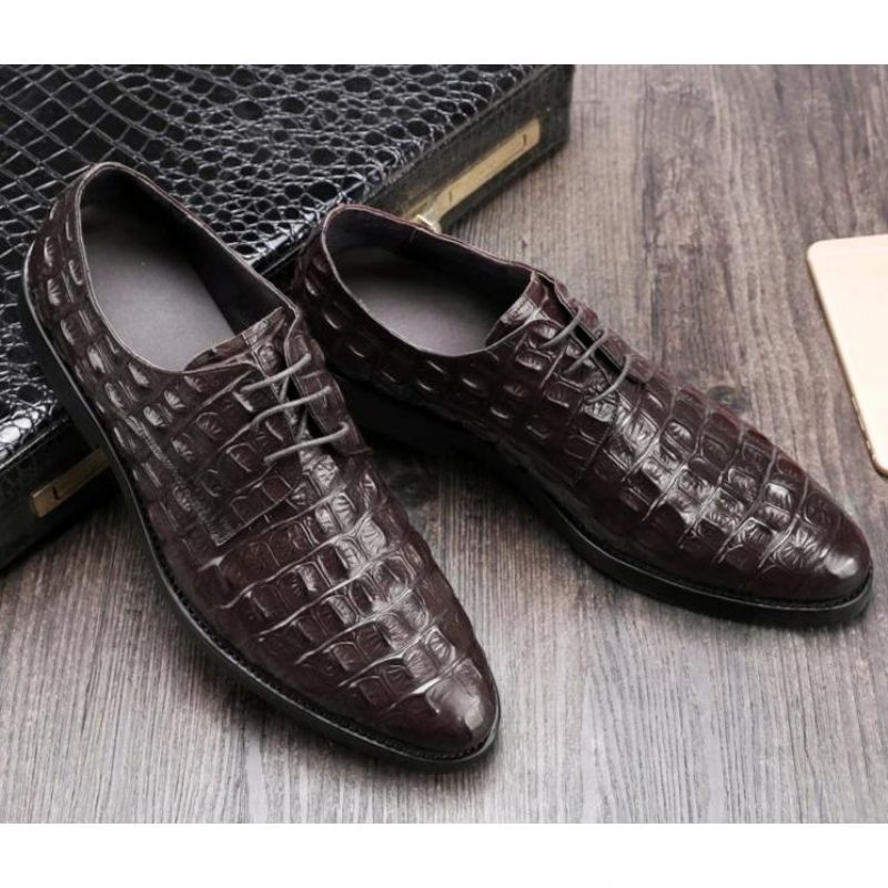 Férfi Hivatalos Cipő Luxus Dombornyomott Bőr Oxford Brogues - Kávé