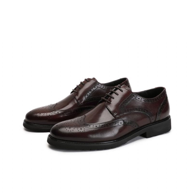 Férfi Hivatalos Cipő Wingtip Luxus Egzotikus Hegyes Orrú Oxford Brogues - Kávé