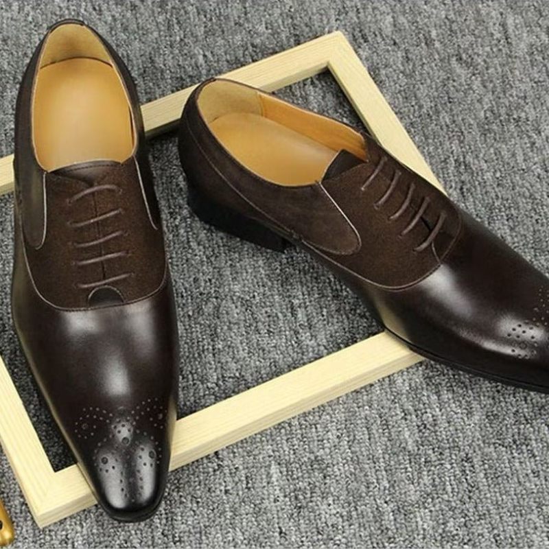 Férfi Hivatalos Cipők Deluxe Esküvői Oxford Modishopulence Brogue - Kávé