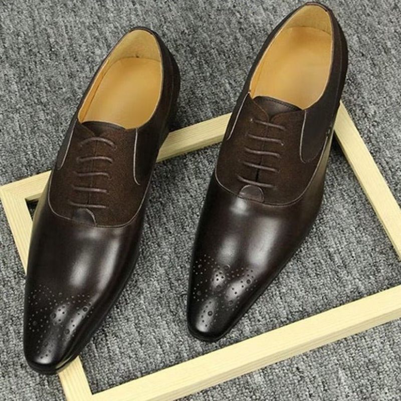 Férfi Hivatalos Cipők Deluxe Esküvői Oxford Modishopulence Brogue - Kávé