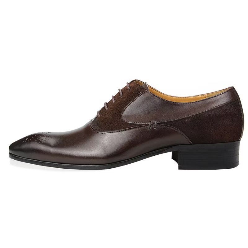 Férfi Hivatalos Cipők Deluxe Esküvői Oxford Modishopulence Brogue - Kávé