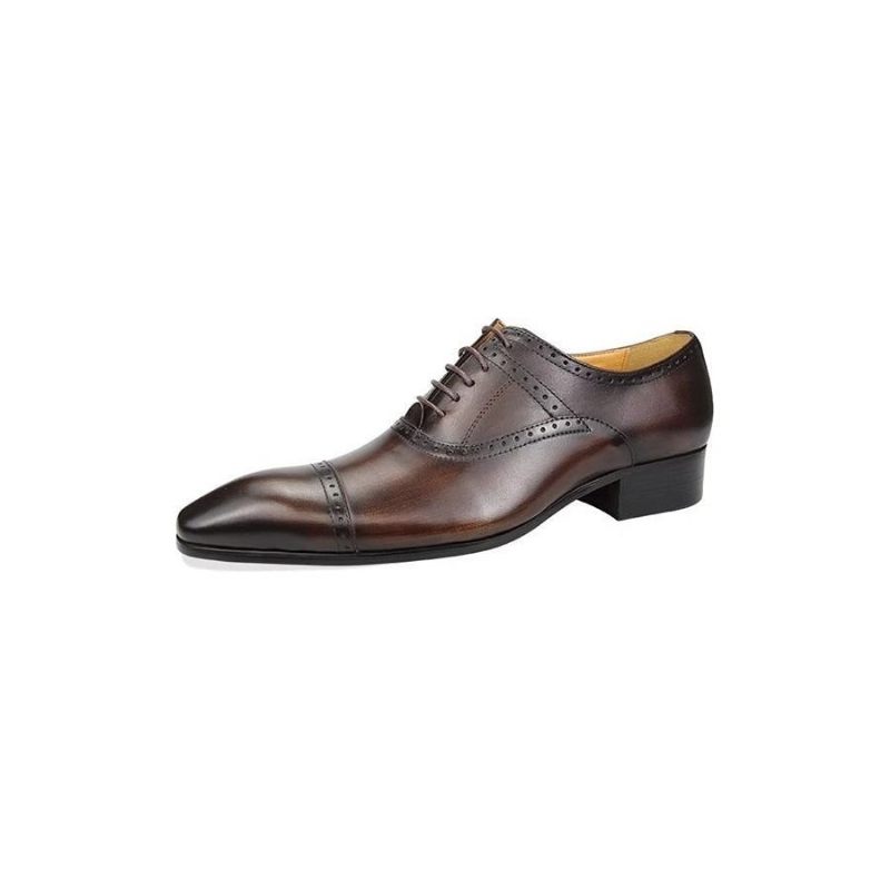 Férfi Hivatalos Cipők Deluxe Oxford Lavishnuptial Brogues