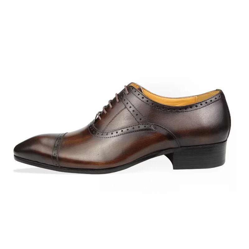 Férfi Hivatalos Cipők Deluxe Oxford Lavishnuptial Brogues - Kávé