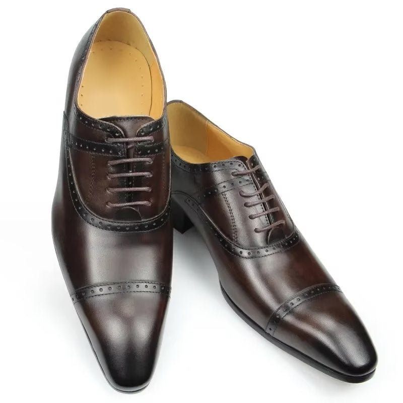 Férfi Hivatalos Cipők Deluxe Oxford Lavishnuptial Brogues - Kávé