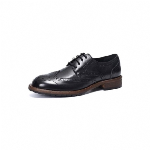 Férfi Hivatalos Cipők Exquisite Brogues